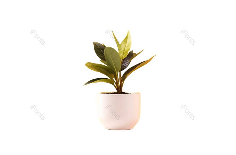 叶子图片,节日元素,扁平化设计PNG,现代免抠素材